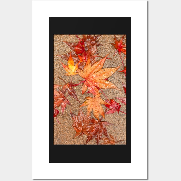 Maple Leaves Wall Art by jvnimages